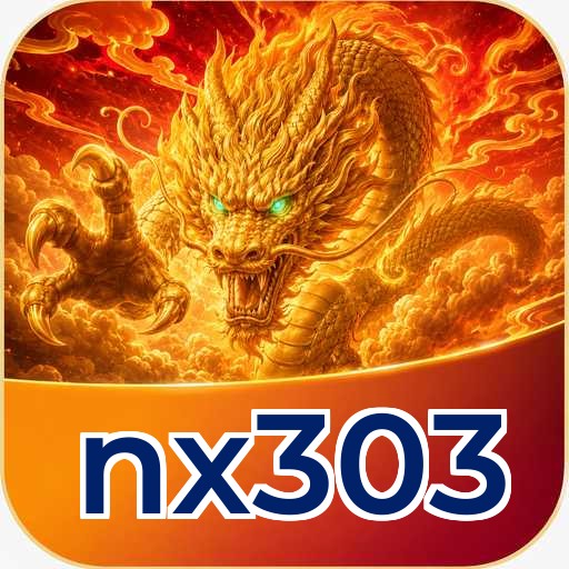 nx303 Installation