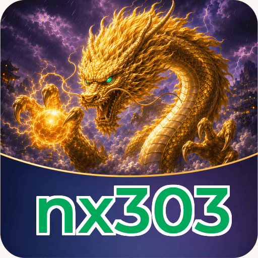 nx303 Verification